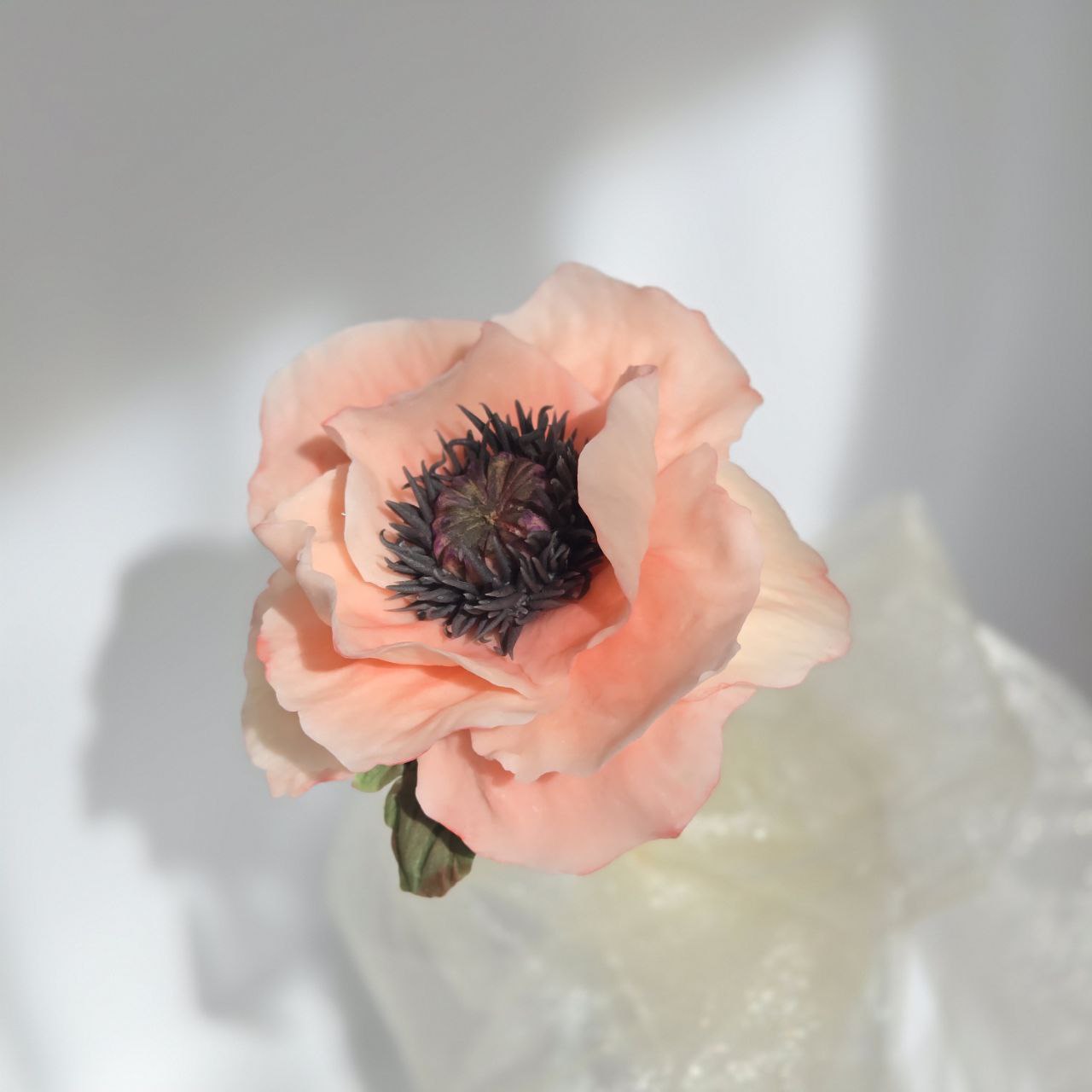 Papavero rosa di cioccolato