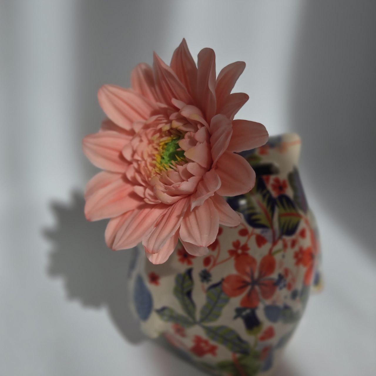 Gerbera di Cioccolato