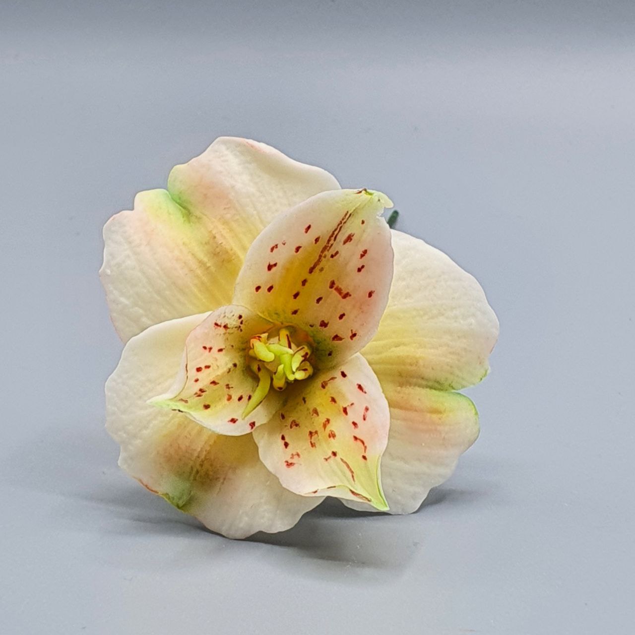 Orchidea di cioccolato